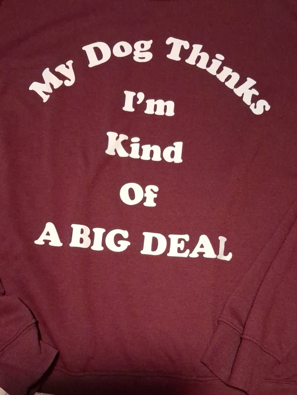 Zoe + Liv Maroon Crewneck Pullover with White Slogan